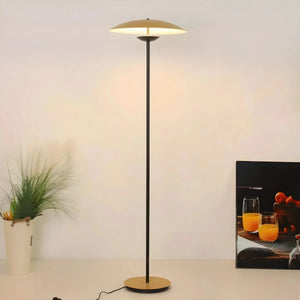 Modern floor lamp with a slim black stand and a wide, flat circular shade.